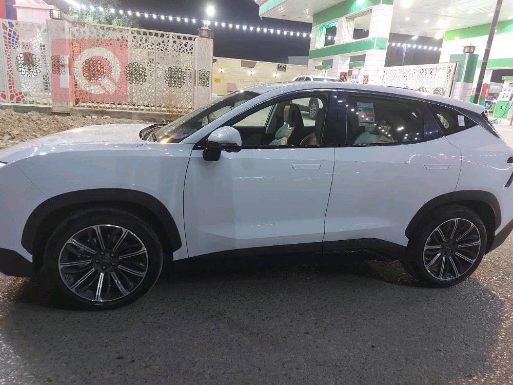 جيتور داشينج
